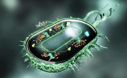 合成生物学路线图可以为未来10年制定研究议程