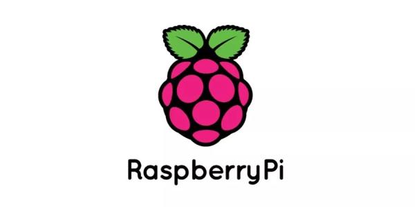 由于未经授权的Raspberry Pi连接到其网络