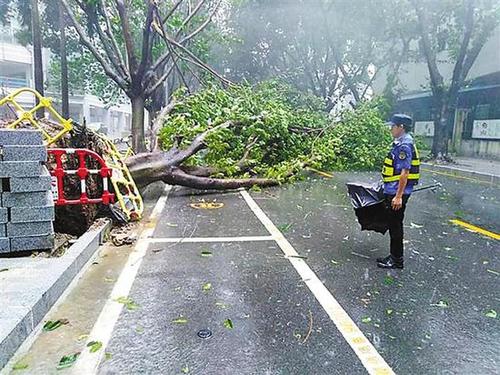 深圳发布今年首个台风预警 预计何时会登录深圳