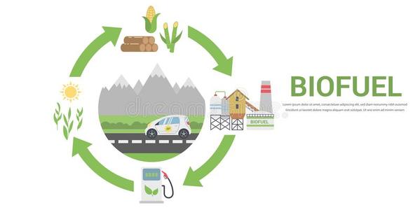 加油站也必须清楚地显示所出售柴油的生物燃料含量