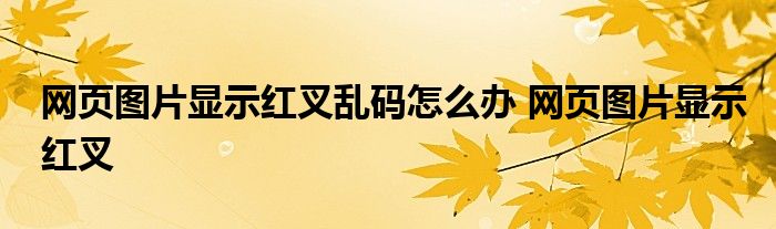 网页图片显示红叉乱码怎么办 网页图片显示红叉