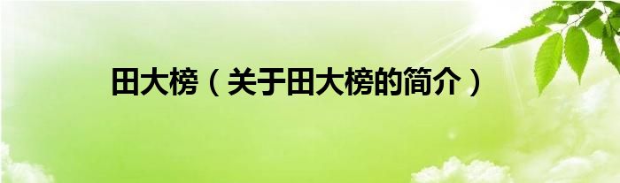 田大榜关于田大榜的简介