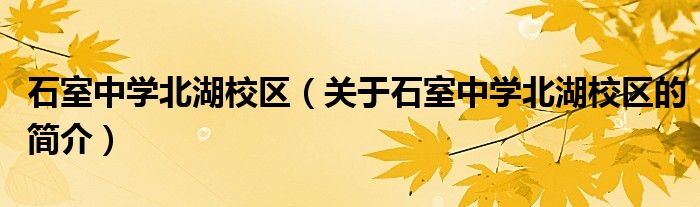 石室中学北湖校区（关于石室中学北湖校区的简介）