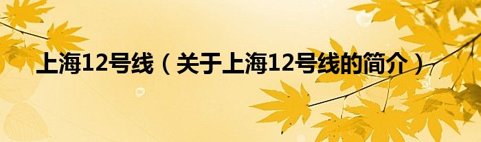 上海12号线（关于上海12号线的简介）