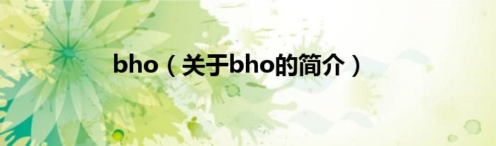 bho（关于bho的简介）