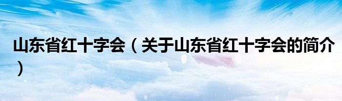 山东省红十字会（关于山东省红十字会的简介）