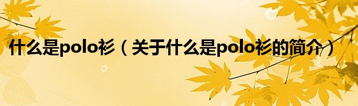 什么是polo衫（关于什么是polo衫的简介）