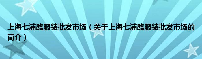 上海七浦路服装批发市场（关于上海七浦路服装批发市场的简介）