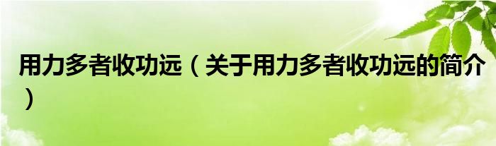 用力多者收功远（关于用力多者收功远的简介）