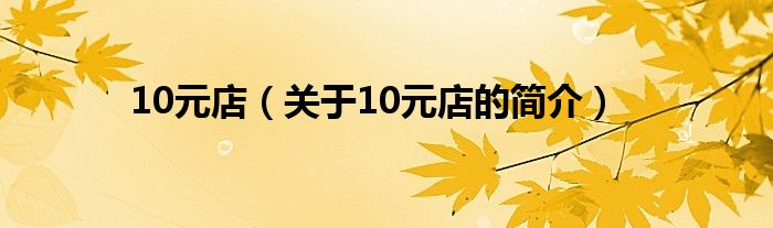 10元店（关于10元店的简介）