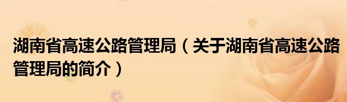 湖南省高速公路管理局（关于湖南省高速公路管理局的简介）