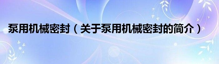 泵用机械密封（关于泵用机械密封的简介）