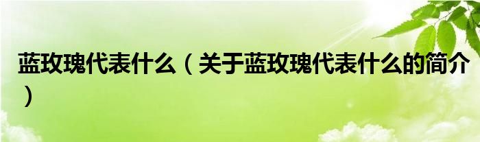 蓝玫瑰代表什么（关于蓝玫瑰代表什么的简介）