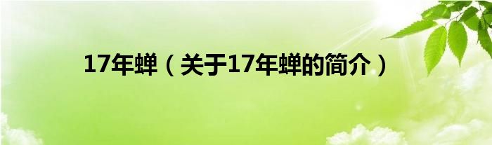 17年蝉（关于17年蝉的简介）