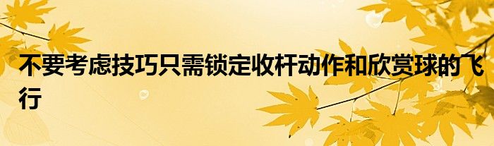 不要考虑技巧只需锁定收杆动作和欣赏球的飞行