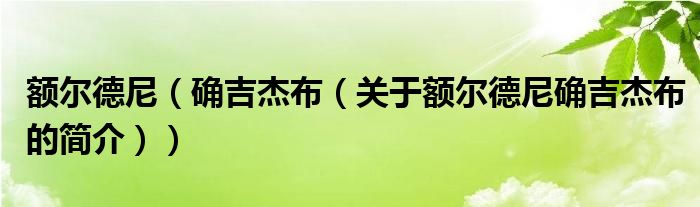 额尔德尼（确吉杰布（关于额尔德尼确吉杰布的简介））