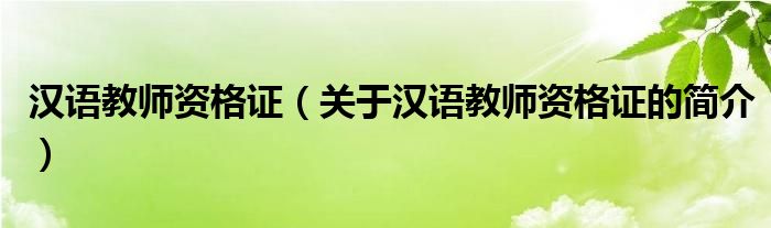 汉语教师资格证（关于汉语教师资格证的简介）