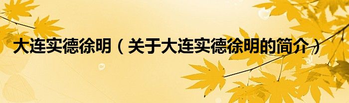 大连实德徐明（关于大连实德徐明的简介）