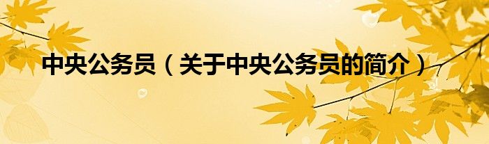 中央公务员（关于中央公务员的简介）