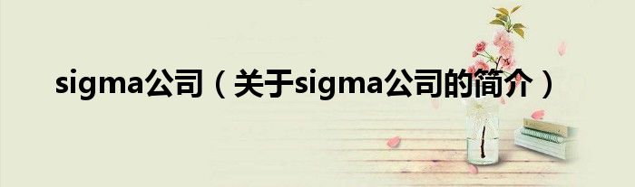 sigma公司（关于sigma公司的简介）