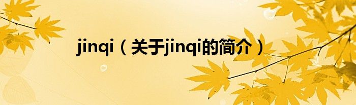 jinqi（关于jinqi的简介）