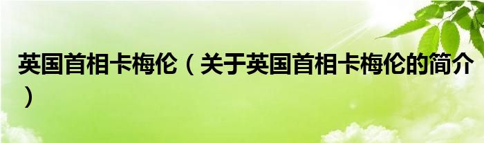 英国首相卡梅伦（关于英国首相卡梅伦的简介）