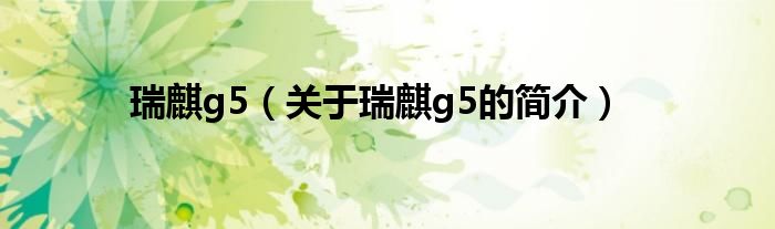 瑞麒g5（关于瑞麒g5的简介）