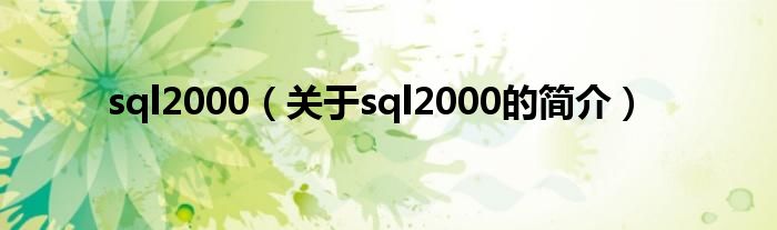 sql2000（关于sql2000的简介）