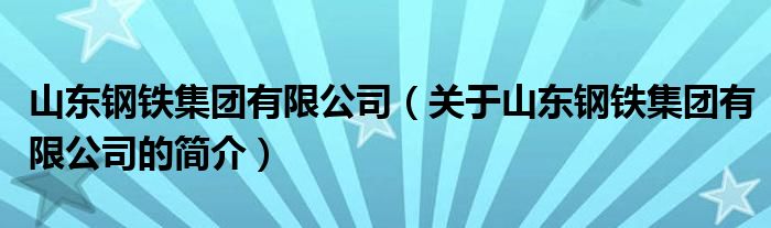 山东钢铁集团有限公司（关于山东钢铁集团有限公司的简介）