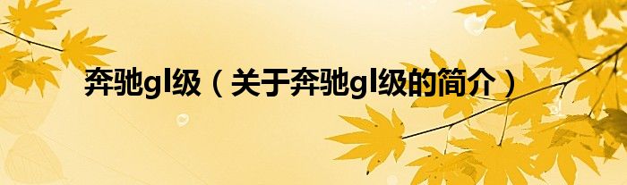 奔驰gl级（关于奔驰gl级的简介）