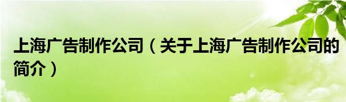 上海广告制作公司（关于上海广告制作公司的简介）