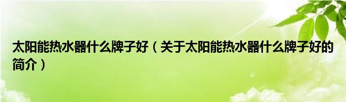 太阳能热水器什么牌子好（关于太阳能热水器什么牌子好的简介）