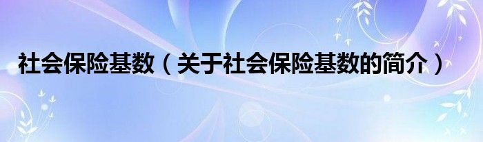 社会保险基数（关于社会保险基数的简介）