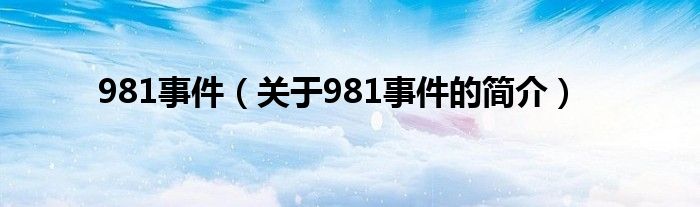 981事件（关于981事件的简介）