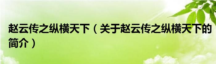 赵云传之纵横天下（关于赵云传之纵横天下的简介）