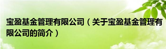 宝盈基金管理有限公司（关于宝盈基金管理有限公司的简介）