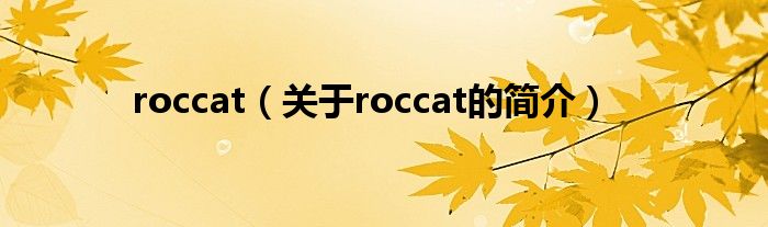 roccat（关于roccat的简介）