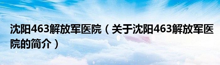 沈阳463解放军医院（关于沈阳463解放军医院的简介）