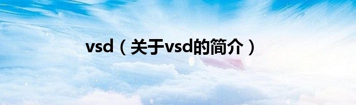 vsd（关于vsd的简介）