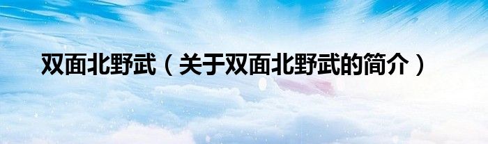 双面北野武（关于双面北野武的简介）