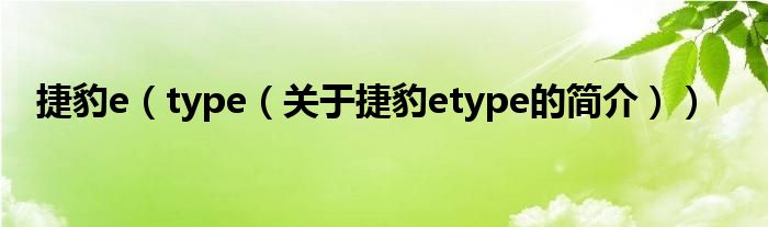 捷豹e（type（关于捷豹etype的简介））