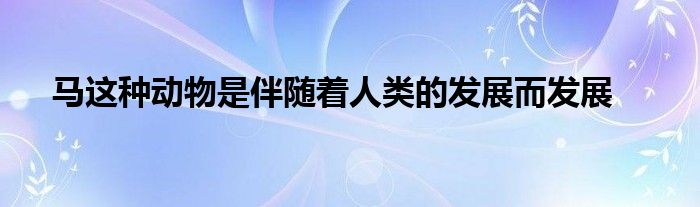 马这种动物是伴随着人类的发展而发展