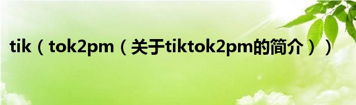 tik（tok2pm（关于tiktok2pm的简介））