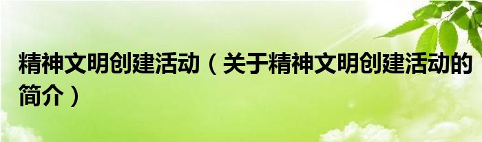 精神文明创建活动（关于精神文明创建活动的简介）