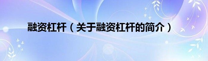 融资杠杆（关于融资杠杆的简介）