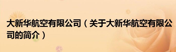 大新华航空有限公司（关于大新华航空有限公司的简介）