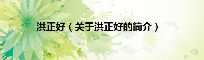 洪正好（关于洪正好的简介）