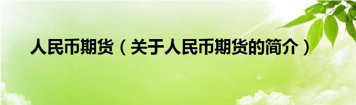 人民币期货（关于人民币期货的简介）