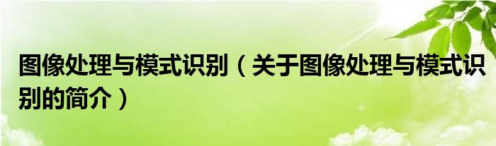 图像处理与模式识别（关于图像处理与模式识别的简介）