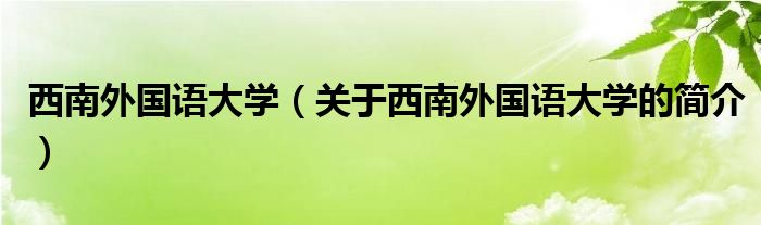 西南外国语大学（关于西南外国语大学的简介）